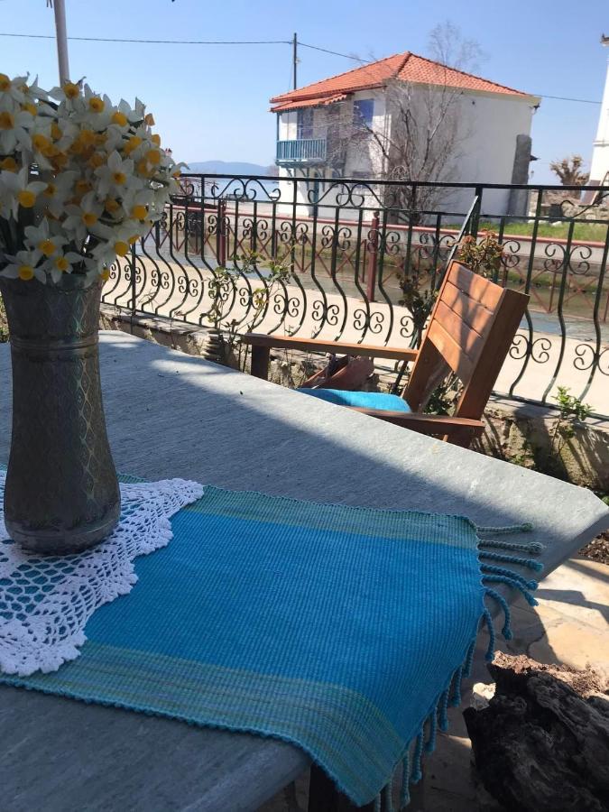 Athina Studios Χόρτο Εξωτερικό φωτογραφία